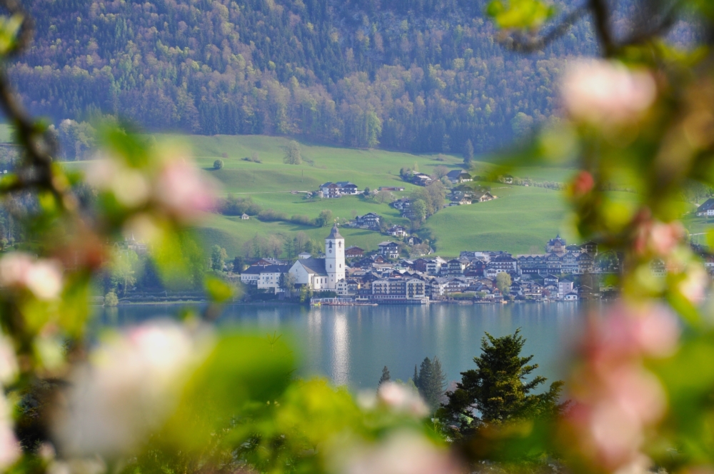 Frühling Wolfgangsee